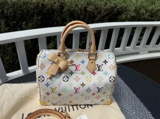 Louis Vuitton X Takashi Murakami 2025 Speedy 25 White Multicolor